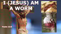 Bellator Christi;Cancaonova.com;FaceBook What does it mean that Jesus is a worm, Psalm 22:6?